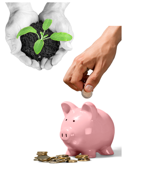 Accounting Services Perth WA